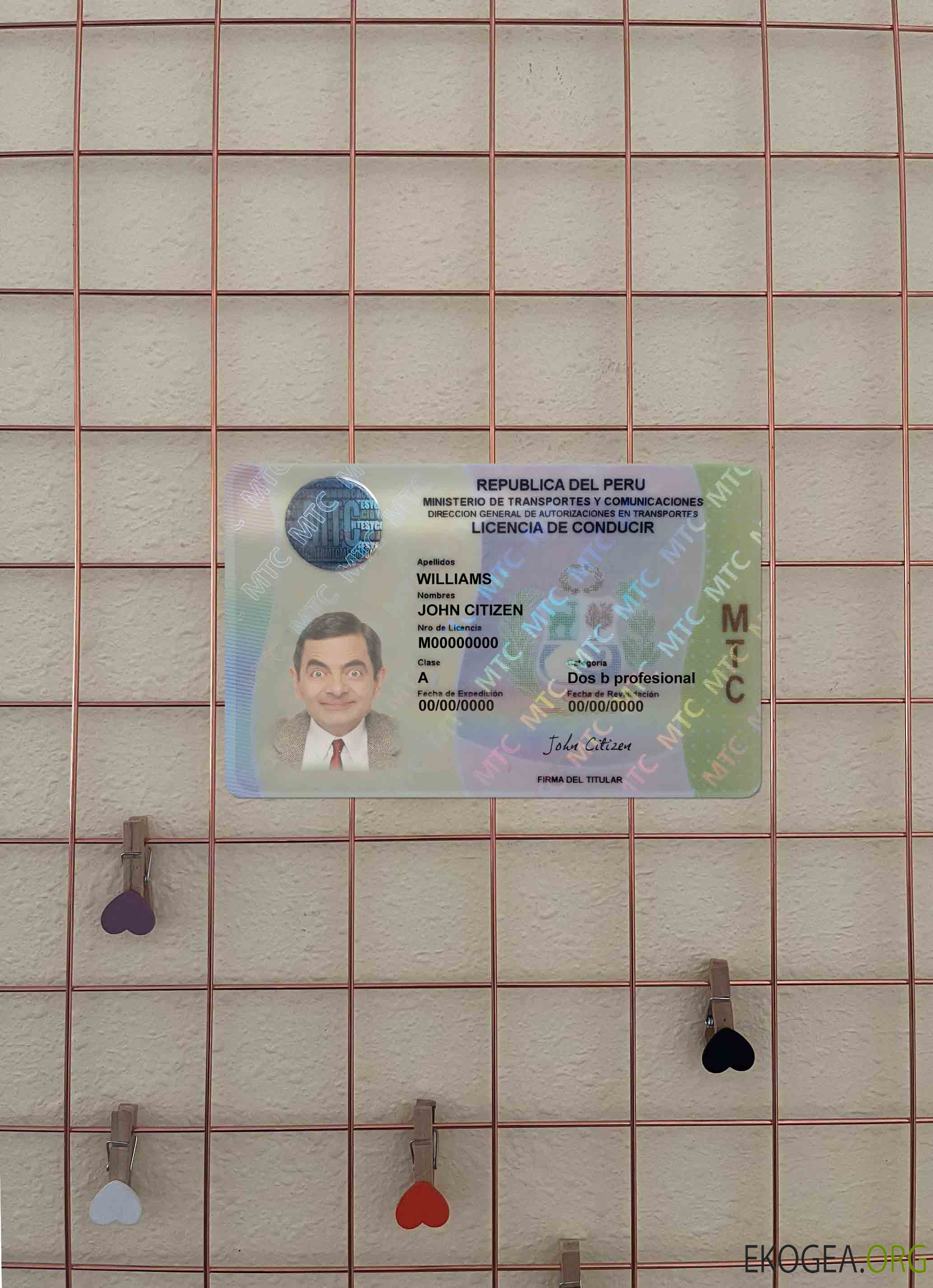 Permis de conduire Pérou photolook AVANT